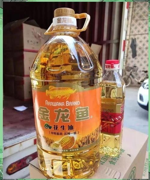 金溪龍魚是雜牌子嗎？，金溪龍魚與“金龍魚”有何關(guān)聯(lián)