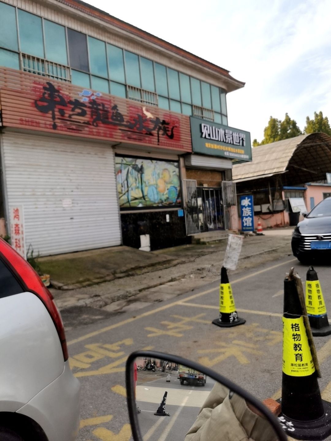 河西龍魚的養殖技術有哪些？，河西龍魚養殖基地在哪里？