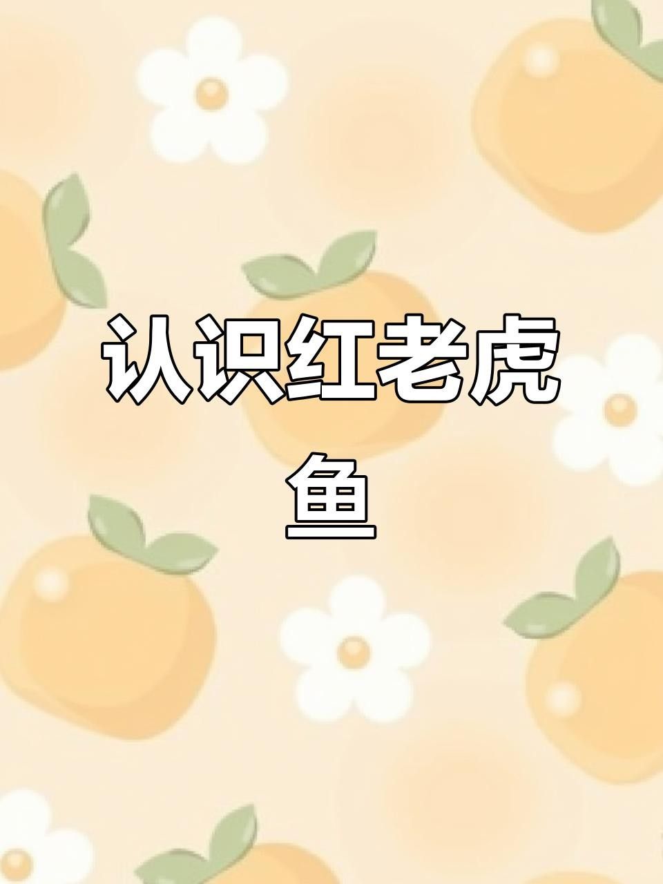 紅老虎魚簡介北游lumi聽紅老虎魚的價格是多少，紅老虎魚的相關圖片