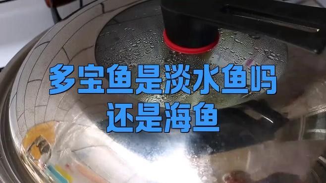遼寧營口海鮮市場新鮮小魚大揭秘性價比超高的四種魚，營口有哪些特色海鮮？