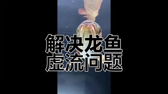 龍魚胡須長瘤、并須怎么辦，龍魚胡須長疙瘩會癌變嗎龍魚胡須長疙瘩會自行消失嗎