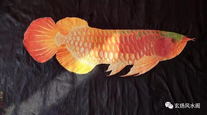 龍魚融鱗是什么樣子的龍魚融鱗是什么樣子的龍魚融鱗是什么樣的，龍魚融鱗是什么樣子的