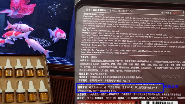 觀賞魚的種類有哪些？，養(yǎng)殖熱帶魚的注意事項