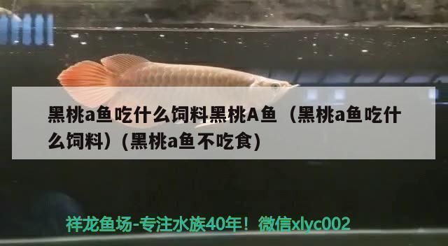 一體式魚缸改造效果圖片,一體式魚缸改造效果圖片分享，一體式魚缸改造