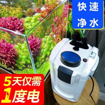 龍魚眼睛白色絮狀物體的圖片和治療方法，龍魚眼睛白色絮狀物體圖片談?wù)匌堲~眼睛白色絮狀物體的原因