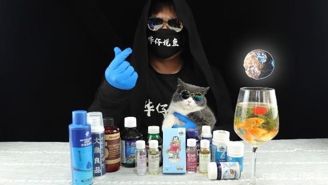 南屏山龍魚掉尾巴怎么辦，劍網3南屏山龍魚掉尾巴后有什么影響南屏山龍魚掉尾巴后如何處理