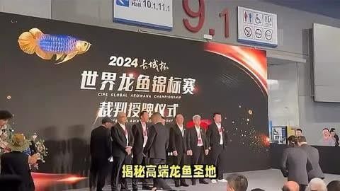 祥龍魚場廣州龍魚批發市場，廣州龍魚祥龍魚場