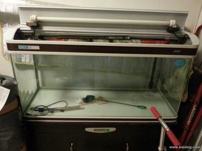 新入缸的龍魚為什么要放在趴缸中？，入缸龍魚為什么會趴缸？