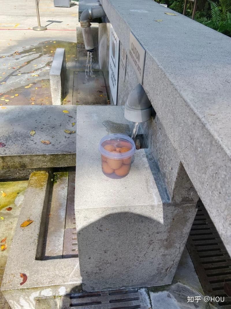 新加坡三巴旺溫泉公園門票多少錢三巴旺公園門票多少錢，新加坡三巴旺公園游玩攻略
