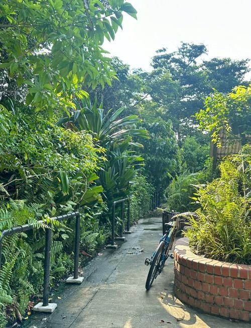 新加坡三巴旺溫泉公園門票多少錢三巴旺公園門票多少錢，新加坡三巴旺公園游玩攻略
