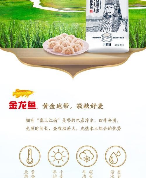 龍魚內蒙河套平原雪花粉源自草原的純凈面食之選嗶哩嗶哩，金龍魚內蒙平原雪花粉源自草原的純凈面食之選