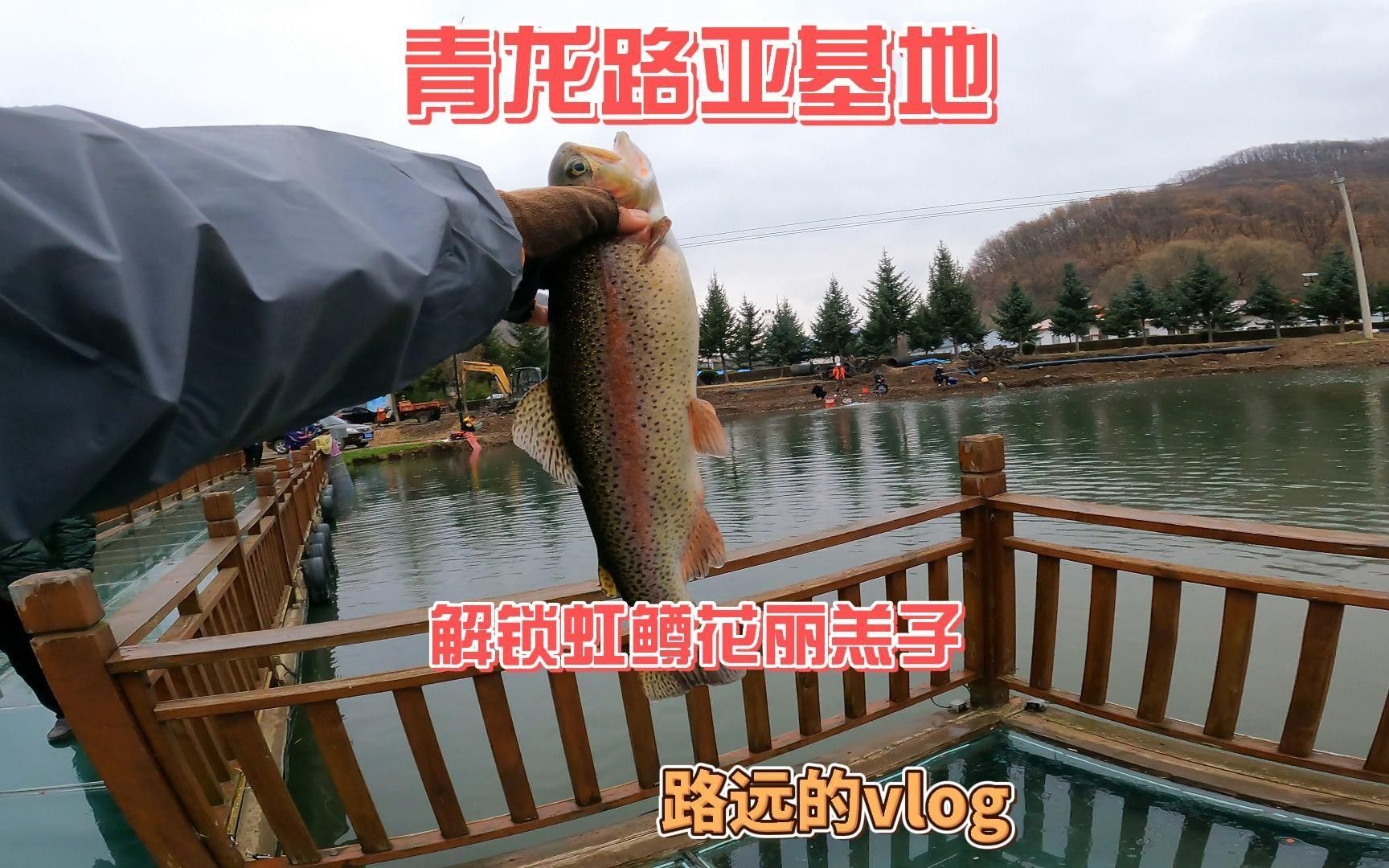 青龍漁業(yè)有哪些特色魚種，延邊青龍漁業(yè)有哪些特色魚種