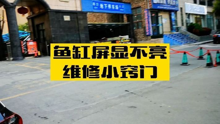 紅龍魚專用飼料的選購指南（-選購紅龍魚專用飼料時應(yīng)考慮哪些因素）
