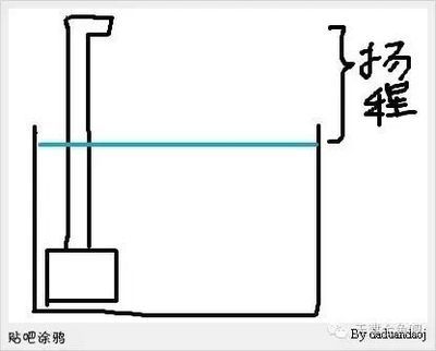 龍魚芯片證書的重要性，龍魚芯片證書是一種用于確認龍魚身份的證書是一種法律文件