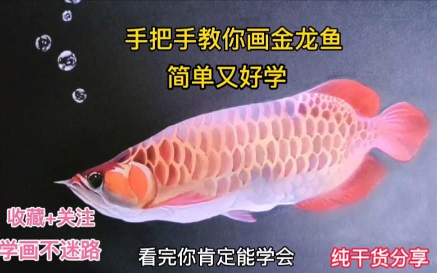 淘寶購買龍魚需要注意哪些問題？，淘寶上購買龍魚需要注意以下幾點，淘寶購買龍魚需要注意以下幾點