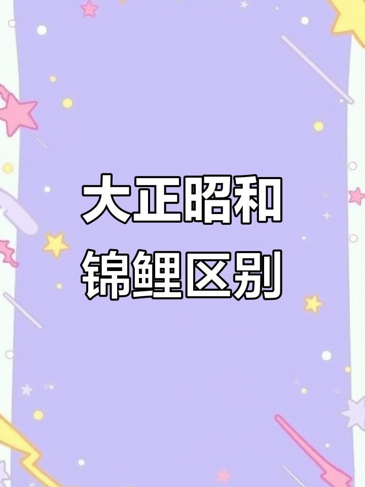 如何區分大正錦鯉和昭和錦鯉，大正錦鯉和昭和錦鯉的區別如何分辨三色錦鯉品種大揭秘