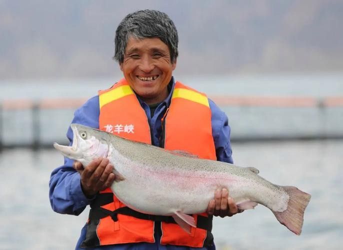 龍羊峽三文魚的價(jià)格是多少？，青海龍羊峽三文魚的價(jià)格是多少？ 龍羊峽三文魚的價(jià)格是多少？，青海龍羊峽三文魚的價(jià)格是多少？ 觀賞魚百科 第3張