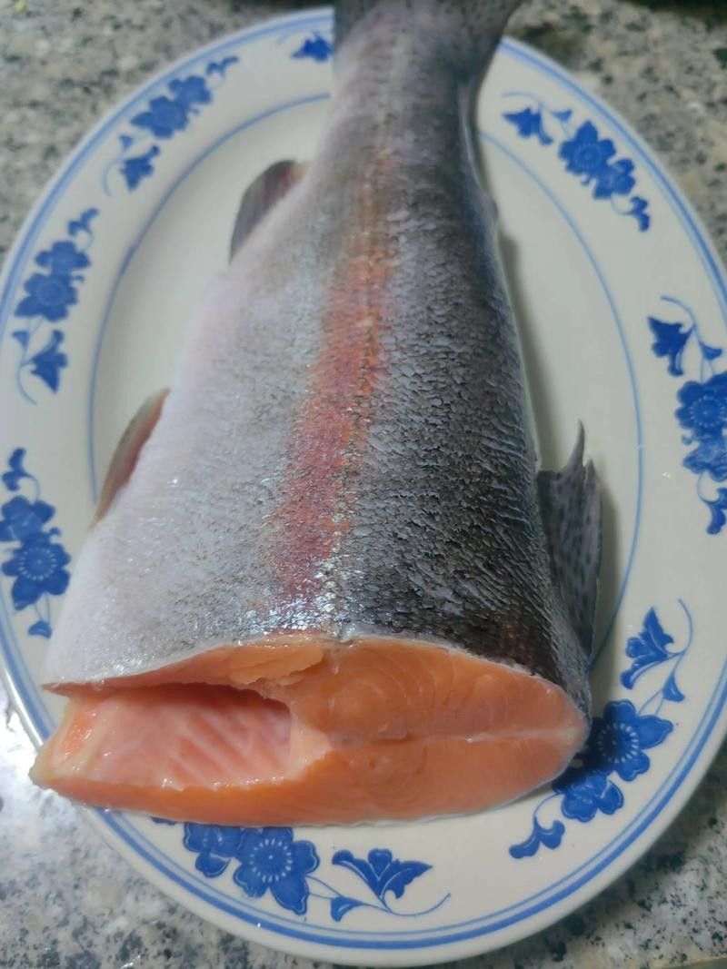 龍羊峽三文魚的價(jià)格是多少？，青海龍羊峽三文魚的價(jià)格是多少？ 龍羊峽三文魚的價(jià)格是多少？，青海龍羊峽三文魚的價(jià)格是多少？ 觀賞魚百科 第5張