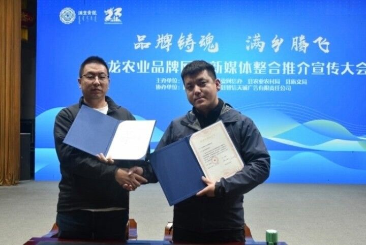 青龍品牌涉及多個不同領域的實體信息整理：青龍品牌，青龍品牌在不同領域的公開資料整理