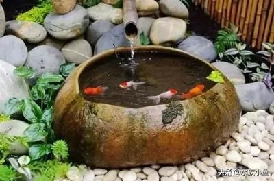 龍魚漁場四大品牌排名（龍魚漁場四大品牌在客戶服務方面表現出色）