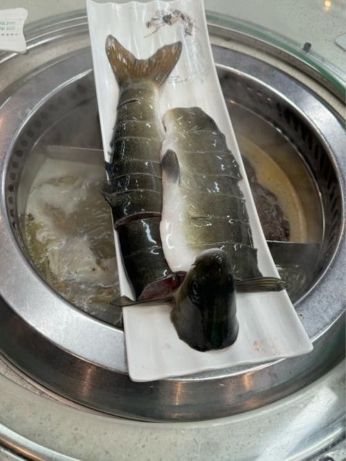 雅魚的價(jià)格是多少？雅魚有哪些營(yíng)養(yǎng)價(jià)值？，舌尖上的雅安——雅魚