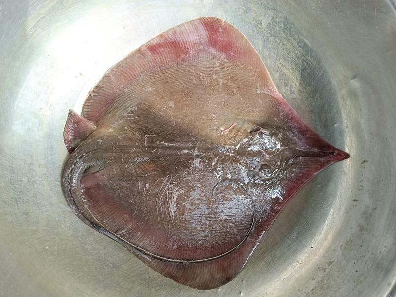 鰩魚和鰩魚的區別，你知道嗎？，鰩魚和魟魚的區別