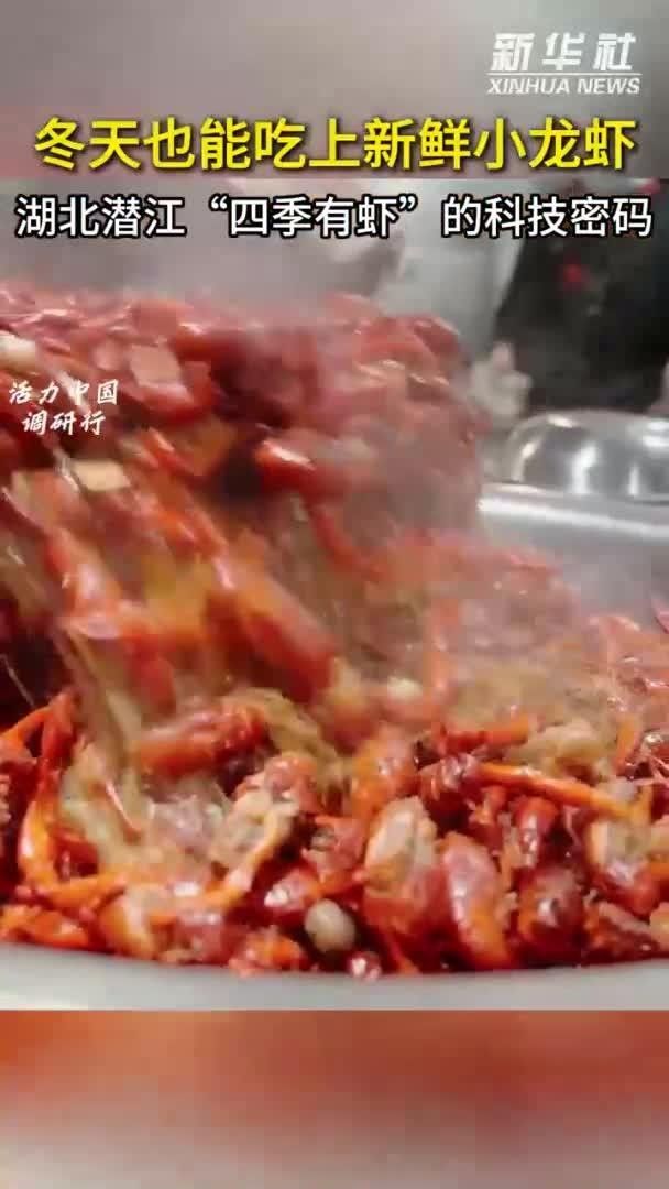 潛江小龍蝦產(chǎn)業(yè)