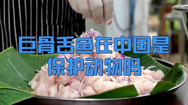 巨骨舌魚(yú)在中國(guó)是保護(hù)動(dòng)物嗎evan漫游記是保護(hù)動(dòng)物嗎，evan漫游記巨骨舌魚(yú)在中國(guó)是保護(hù)動(dòng)物嗎