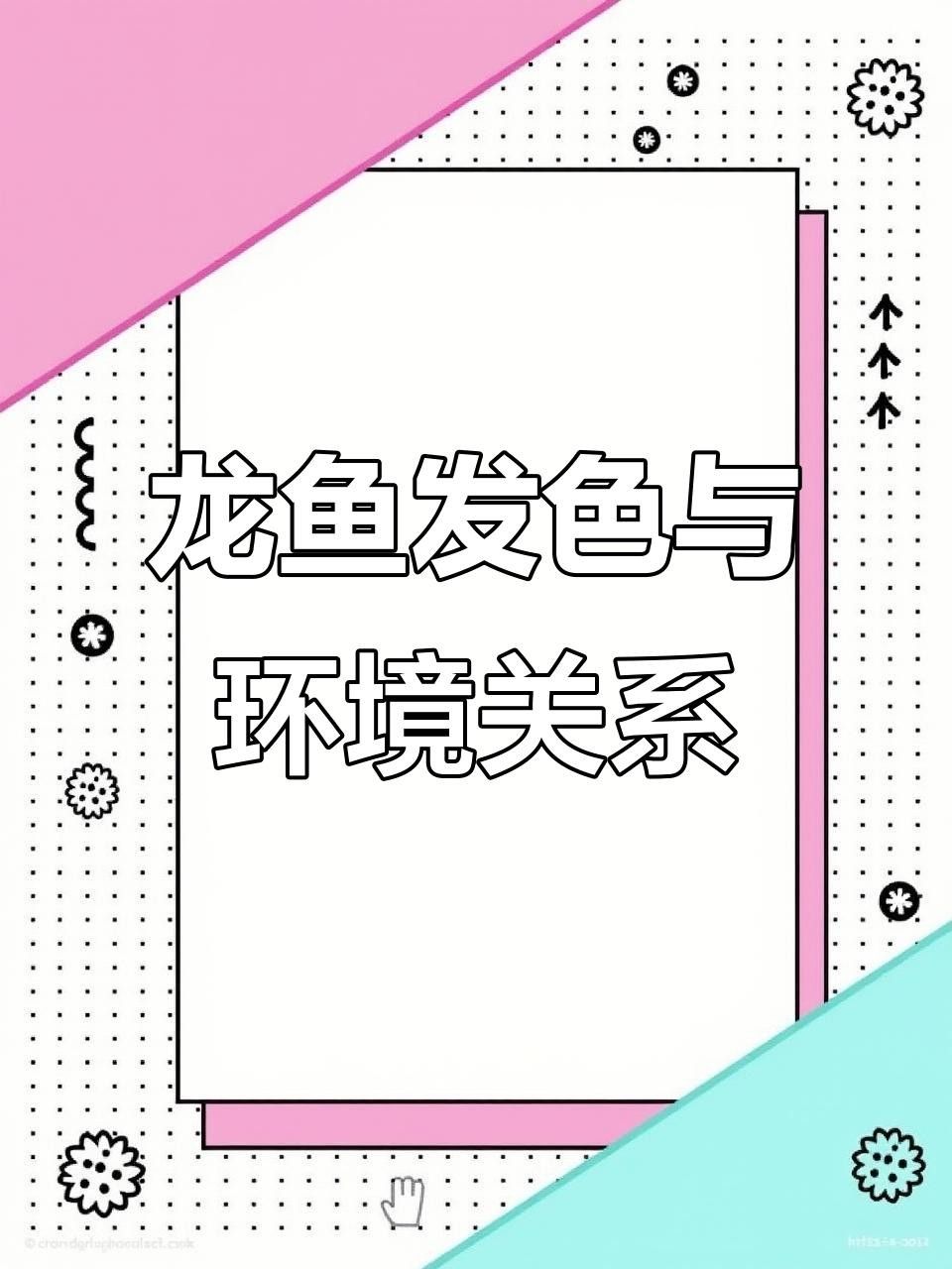 紅龍魚發色九宗罪避免這九點讓您的紅龍魚紅起來，養魚說第87話紅龍發色九宗罪 紅龍魚發色九宗罪避免這九點讓您的紅龍魚紅起來，養魚說第87話紅龍發色九宗罪 觀賞魚百科 第3張