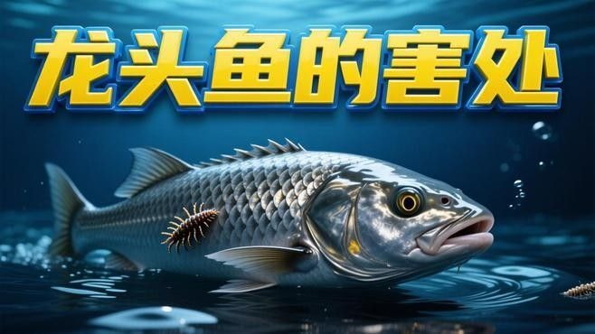 “寒亭龍魚”要少吃？，“寒亭龍魚”要少吃嗎？