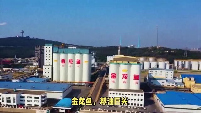 金龍魚的企業文化，益海嘉里金龍魚食品集團愿景-集團介紹金龍魚企業文化