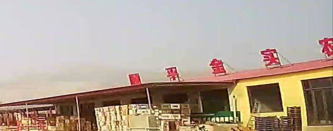 龍魚為何成為水族箱寵兒揭秘其魅力與象征意義全民小視頻，“順平”通常指河北省保定市的順平縣有沒有龍魚養殖場