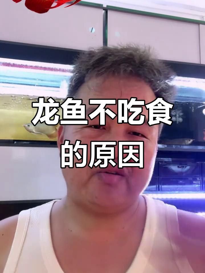 龍魚不吃食的最忌三種藥物，提供預防措施和解決方法，龍魚不吃食最忌三種藥物