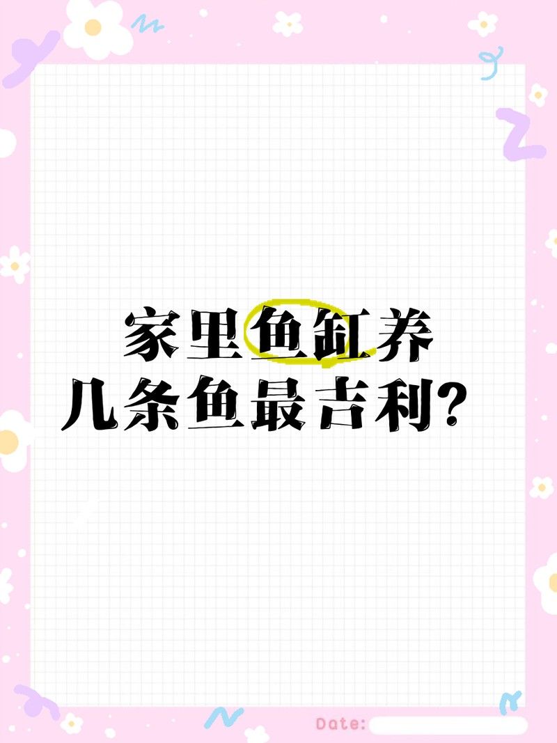 5條魚和6條魚在中國文化中的不同含義并分析對個人運勢的影響，5條魚吉利還是6條魚吉利
