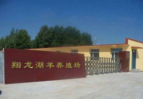 <strong><mark>慈溪</mark></strong>龍魚的市場價格，<strong><mark>慈溪</mark></strong>市有哪些龍魚養殖場？，<strong><mark>慈溪</mark></strong>龍魚的養殖技術有哪些<strong><mark>慈溪</mark></strong>龍魚養殖技術有哪些