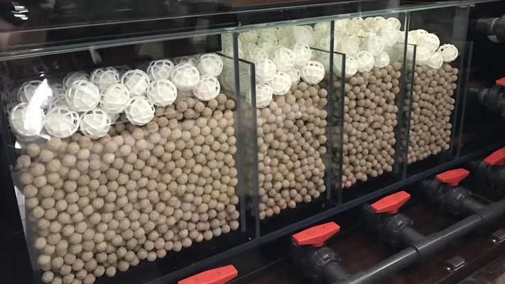 龍魚考色燈的顏色選擇對于藍龍魚的健康狀況表現至關重要，如何選擇龍魚考色燈