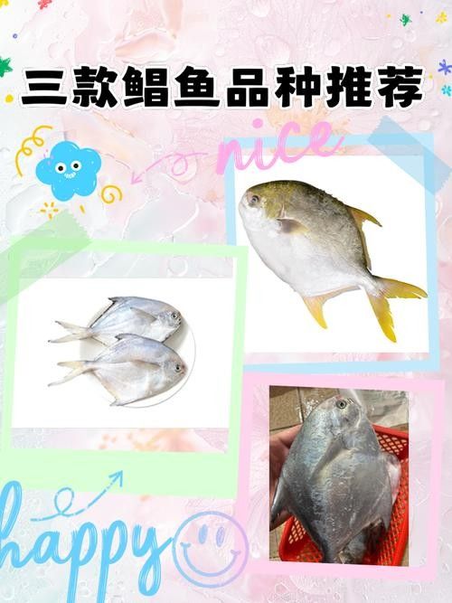 鯧魚的營養價值及種類，各種鯧魚的營養價值與烹飪方法