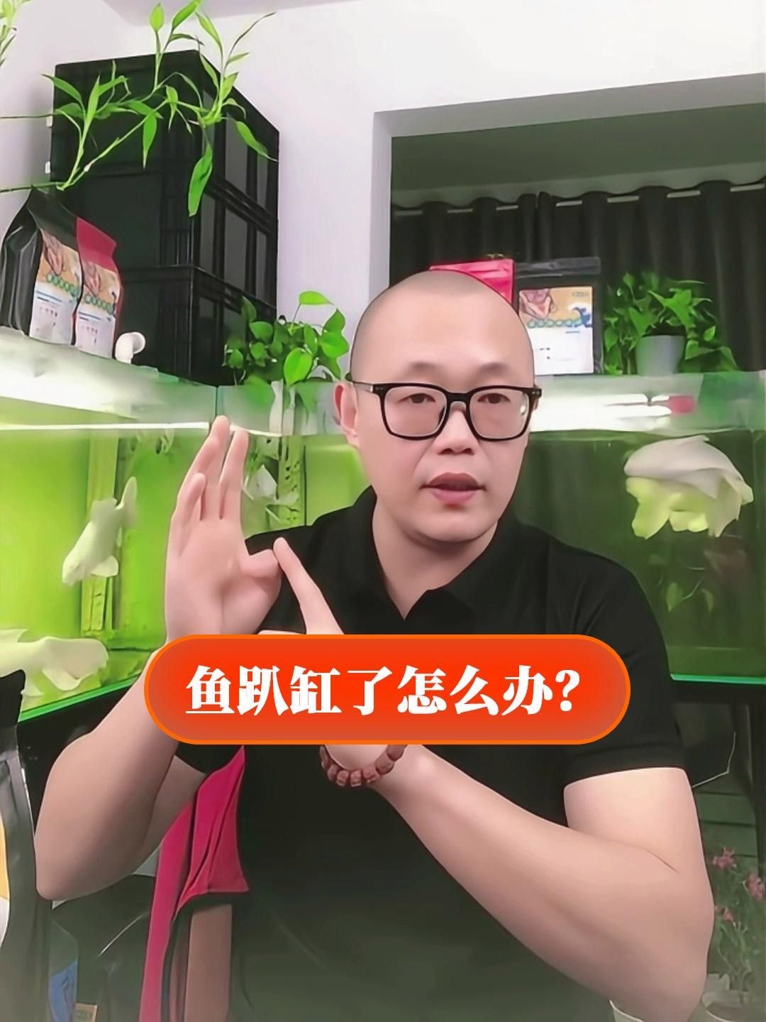 魚趴缸底怎么辦，魚趴缸底了怎么辦