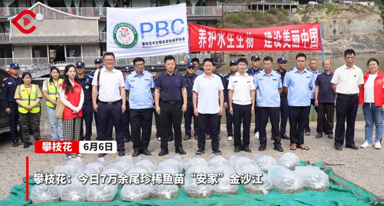 攀枝花的魚類資源，攀枝花市的魚類資源