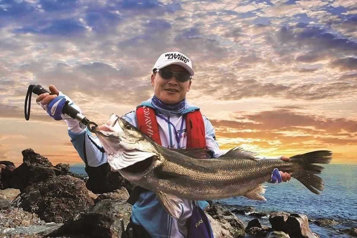 黑鳘魚，黑鳘聽，黑鳘魚的價格是多少？，黑鳘魚和石斑魚有什么區別，