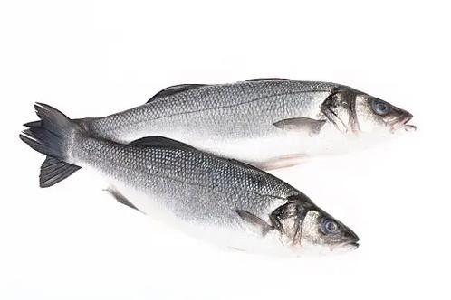 黑鳘魚，黑鳘聽，黑鳘魚的價格是多少？，黑鳘魚和石斑魚有什么區別，