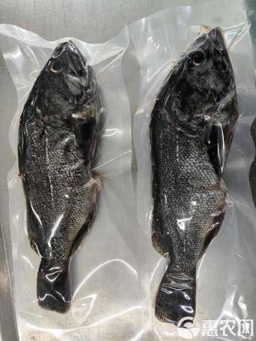 黑鳘魚，黑鳘聽，黑鳘魚的價格是多少？，黑鳘魚和石斑魚有什么區別，