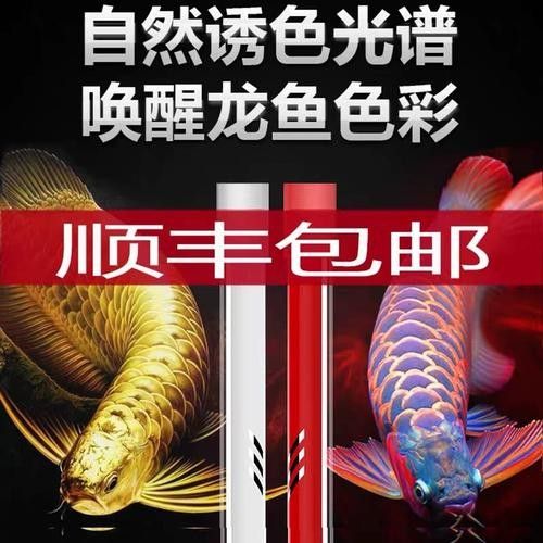 龍魚發色燈多久換一次，有哪些品牌的龍魚發色燈推薦？，魚發色燈的功率選擇取決于多個因素包括魚缸的大小、龍魚的種類和大小以及你想要的