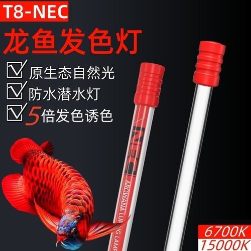 龍魚發色燈多久換一次，有哪些品牌的龍魚發色燈推薦？，魚發色燈的功率選擇取決于多個因素包括魚缸的大小、龍魚的種類和大小以及你想要的