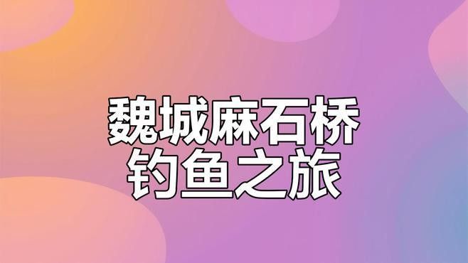 河北邯鄲市魏縣及周邊縣區釣魚大賽有哪些參賽隊伍，河北省邯鄲市魏縣及周邊縣區釣魚大賽有哪些參賽隊伍