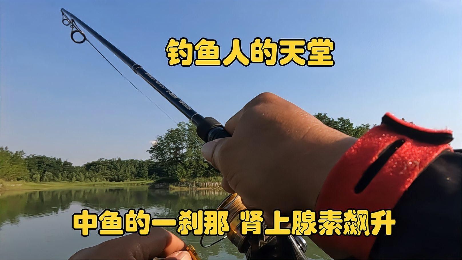 河北邯鄲市魏縣及周邊縣區釣魚大賽有哪些參賽隊伍，河北省邯鄲市魏縣及周邊縣區釣魚大賽有哪些參賽隊伍