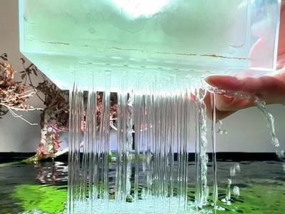 魚缸養幾條清道夫好，，怎么養好魚缸清道夫