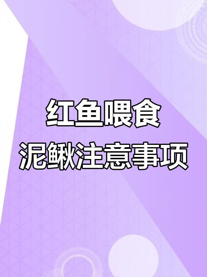 魟魚的常見疾病及治療要點，魟魚在養殖過程中可能遇到多種疾病及其防治要點