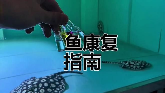 龍魚和魟魚常見疾病的病因、癥狀及治療方法全解析，魚和魟魚常見疾病的病因、癥狀及治療方法全解析