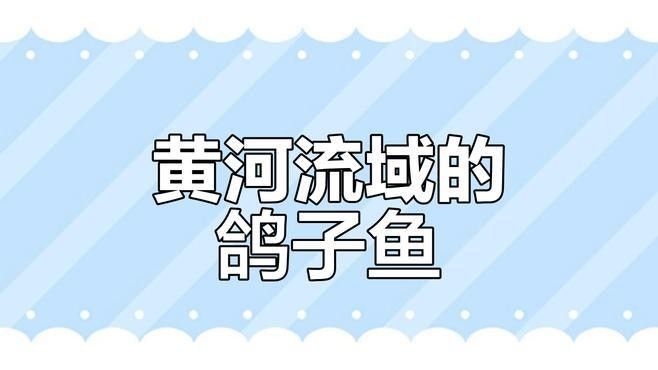 甘肅省有哪些著名魚類，甘肅省內(nèi)一些著名的魚類烹飪方法有哪些著名的魚類